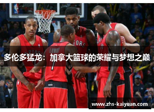 多伦多猛龙:加拿大篮球的荣耀与梦想之巅 多伦多猛龙:加拿大篮球的荣耀与梦想之巅